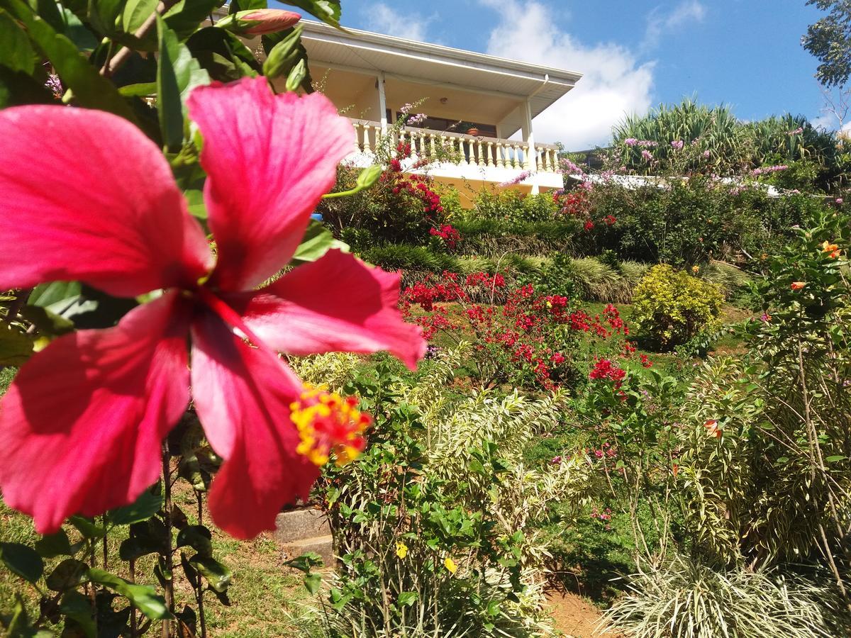 La Princesa Hotel San Isidro De El General エクステリア 写真