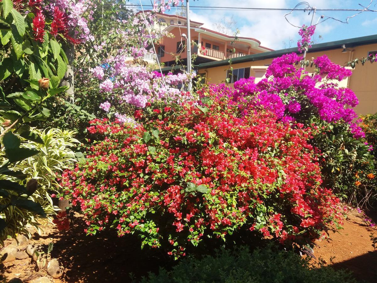 La Princesa Hotel San Isidro De El General エクステリア 写真