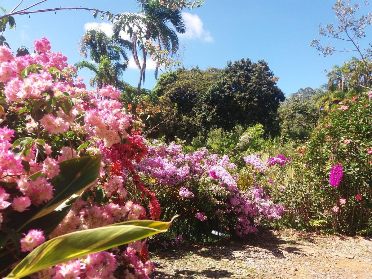 La Princesa Hotel San Isidro De El General エクステリア 写真